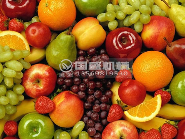 餐饮果蔬猛虎视频免费下载处理设备
